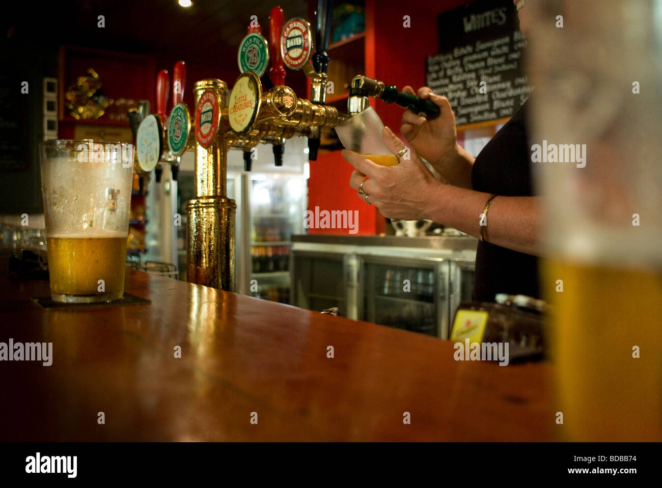 this is a photo of beer