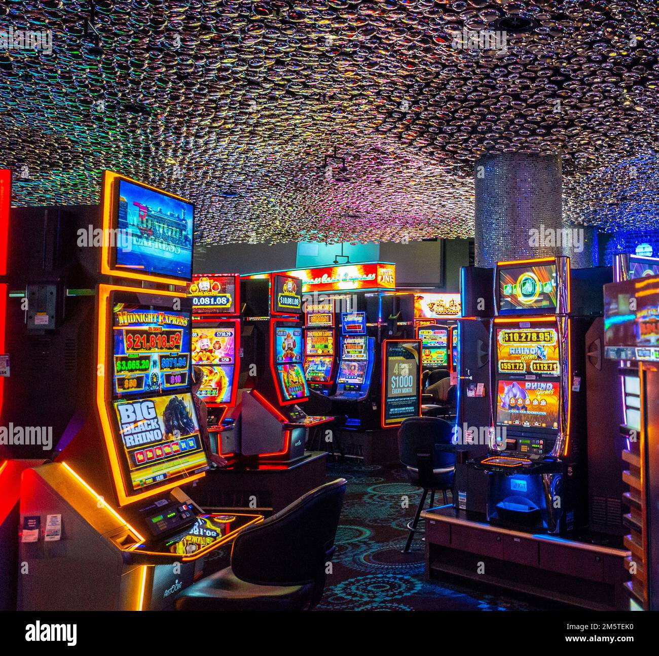 this is a photo of pokies